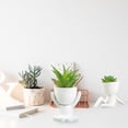 thumbnail image 3 of Cute Artificial Succulent Plants With Creative Human Shaped Pots,Mini Potted Succulents Decor For Home Decor, 3 of 5