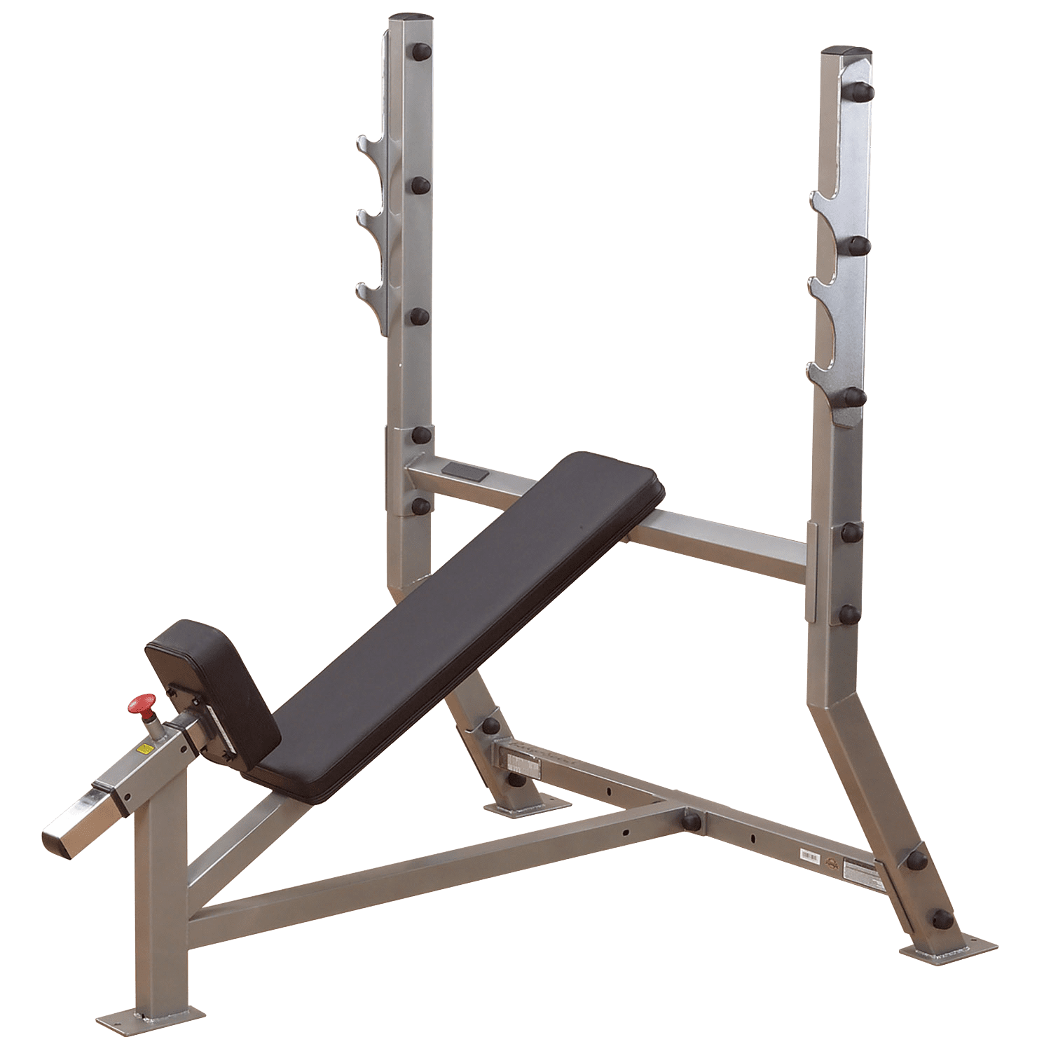 Body Solid Pro ClubLine Olympic Flat/Incline Benches Package 