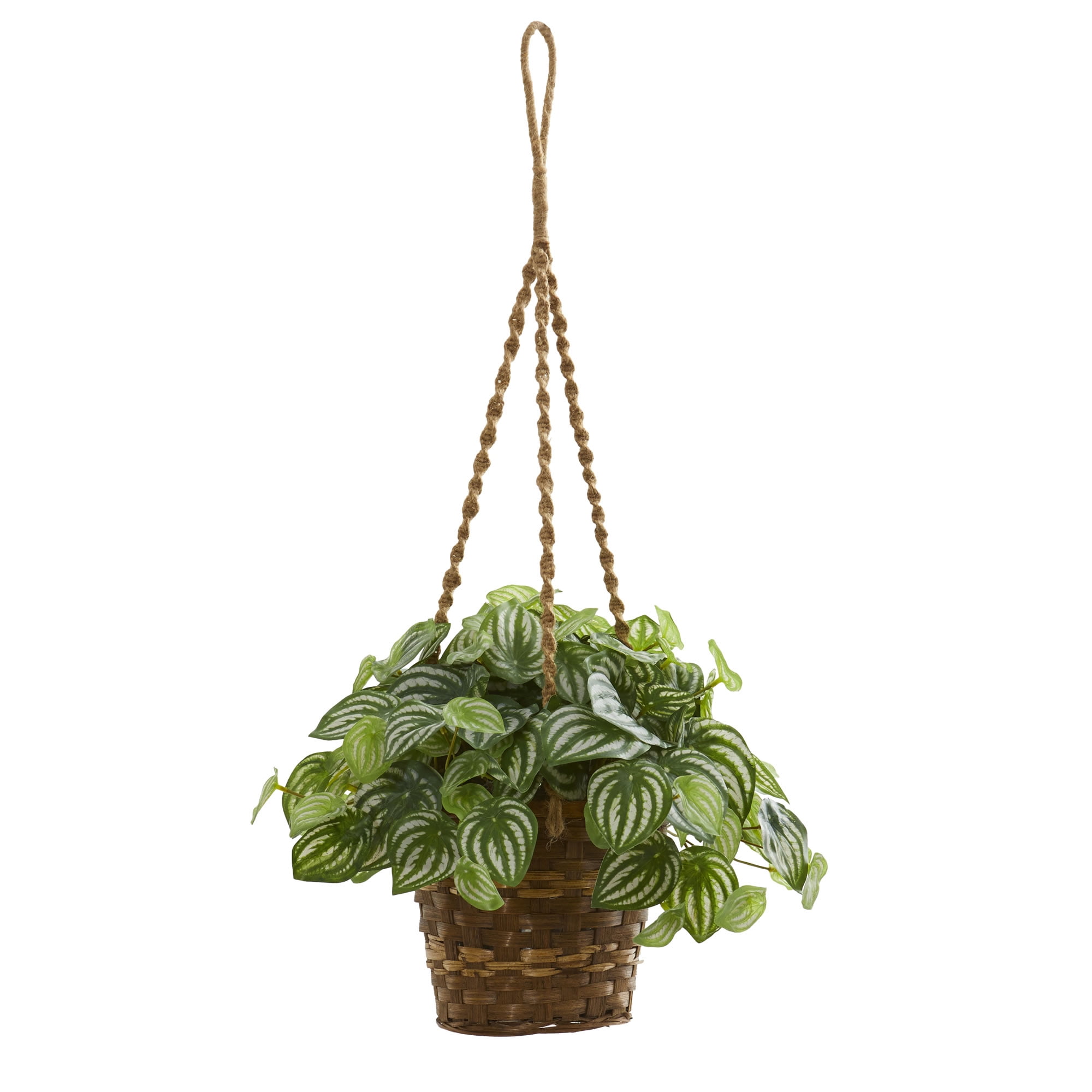 Watermelon Peperomia Artificial Plant in Hanging Basket