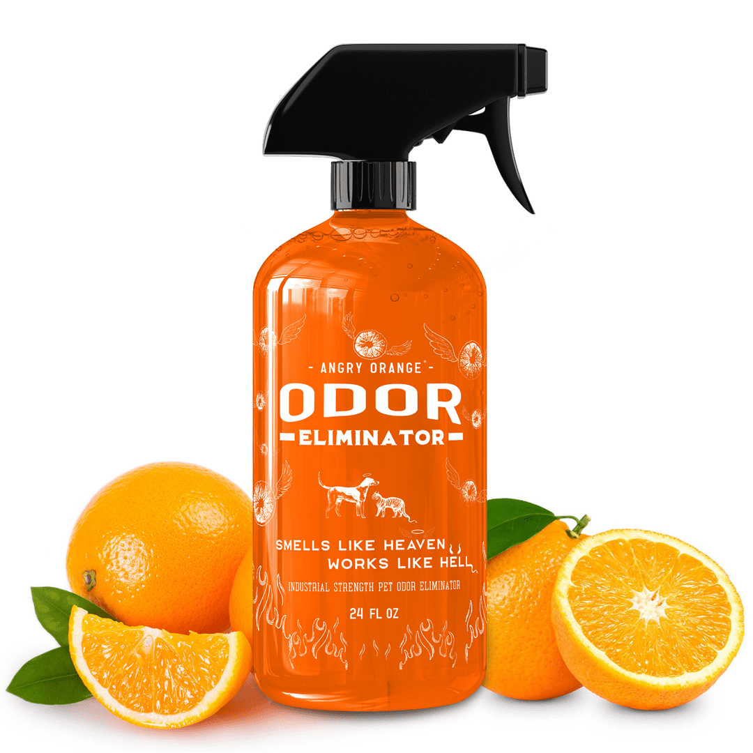 Angry Orange 24 oz ReadytoUse Citrus Pet Odor Eliminator Spray for
