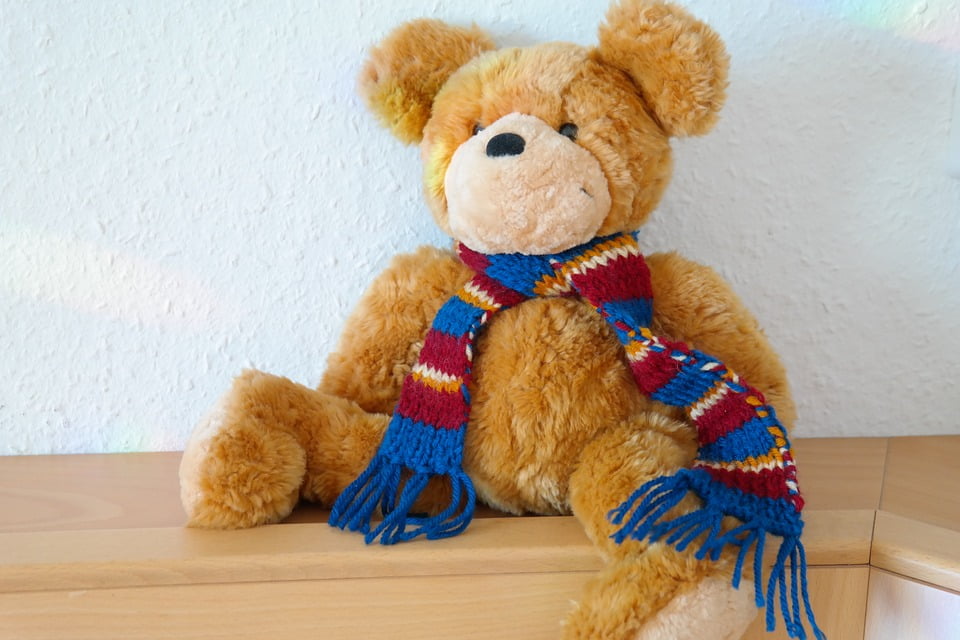 cute cuddly bear