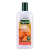 L'Oreal Nature's Therapy Mega Curves Curl Enhancing Shampoo (Size : 12 oz)