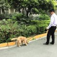 thumbnail image 5 of Methold Correa de perro retráctil Pugga de 5M/8M, perros medianos y grandes, correas para perros que caminan, cinturón para mascotas, cuerda Suministros para perros Rojo 5m, 5 of 5