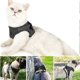 thumbnail image 3 of Arnés para gatos YONGSHENG Con correa Chaleco reflectante ajustable tamaño Small(s), 3 of 4