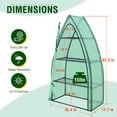 thumbnail image 5 of EAGLE PEAK 4-Tier Mini Portable Greenhouse W/ Shelves, Roll-up Zipper Door, 35.4" x 17.7"x 63", Green, for Outdoor, Indoor Gardening Planting, 5 of 8