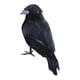 thumbnail image 5 of Cuervos con plumas negras de Halloween, decoración de cuervos artificiales aterradores hechos a mano de aspecto realista para fiestas, eventos, hogar, Estilo B, 5 of 8
