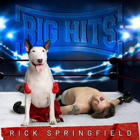 Rick Springfield - Big Hits: Rick Springfield's Greatest Hits, Vol. 2 - Music & Performance - CD