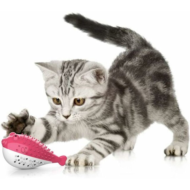 Juguete dental para gatos, juguete para gatos, juguete para masticar molar de silicona, cepillo de dientes con hierba gatera para gatitos, juguete interactivo con forma de pez, higiene dental para ga