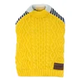 thumbnail image 1 of Sueter Para Perro Urban Dog Apis Amarillo Talla 0 - 15, 1 of 3