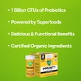 thumbnail image 3 of So Good So You Immunity Ginger Cayenne Probiotic Juice Shots 4 - 1.7 fl oz Bottles, 3 of 8