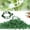 100pcs Green, variant on Plant Support Clips, Plastic Garden Fixing Clips for Climbing Plants Tomato Grape Vines, Greenhouse Garden Clips to Keep Plants Upright & Healthy (100, White)