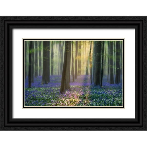 Popan, Adrian 24x17 Black Ornate Wood Framed with Double Matting Museum Art Print Titled - Daydreaming of Bluebells II