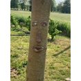 thumbnail image 4 of Adornos de Cara de árbol de anciano SSuperp decoración jardín, 4 of 5