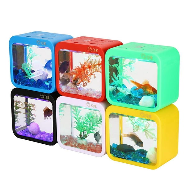 Boîte à poisson 5 couleurs avec accessoires d'aquarium de
