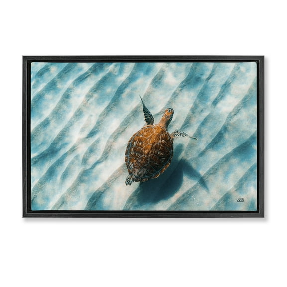 Stupell Industries Sandbar Sea Turtle Animals Photography Black Floater Framed Canvas Art Print Wall Art, 25 x 17
