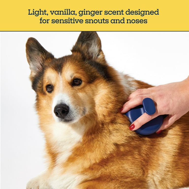 Waterless Powder Shampoo Refills, 3-Pack photo 8