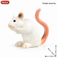 thumbnail image 4 of Oenux Wild Animals Simulation Rodent Marmot Mouse Model Squirrel Rat Chinchilla Action Figure Figurine Collection Cute Kid Toy, 4 of 10