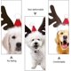 thumbnail image 4 of Adornos de reno de arroz con asta de Navidad, tocado decorativo para pelo de perro y gato (rojo) (1 unidad), 4 of 5