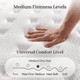 thumbnail image 3 of 10" Queen Hybrid Mattress in a Box, Memory Foam & Individual Pocket Coils, Knitted fabric, Medium Firm, Cooling, Motion Isolation, Pressure Relief, 3 of 9