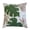 Green, variant on Keilani Mint Graphic Polyester 20 in. x 20 in. Throw Pillow