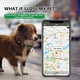 thumbnail image 5 of Rastreador GPS Antipérdida para Mascotas, Localizador Inteligente Portátil Resistente Al Agua con Bluetooth, Dispositivo de Búsqueda de Collar de Seguimiento en Tiempo Real, Perro, 5 of 5