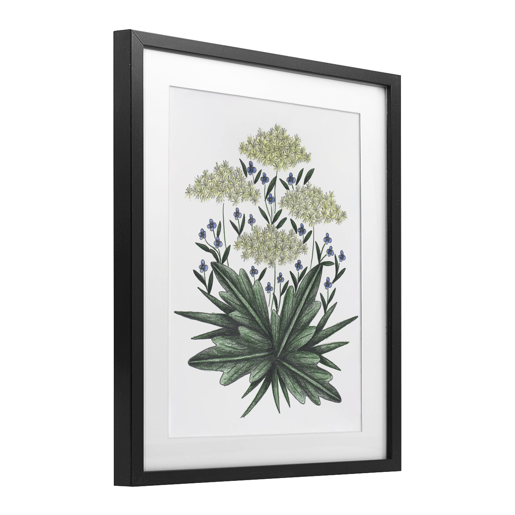 New Roots Vintage Sketch Black Framed Print Under Glass, design by Cecilia Battaini