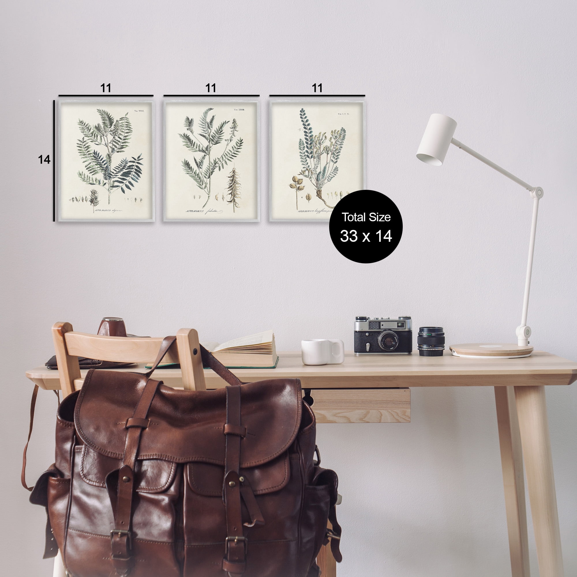 Stupell Industries Woodland Plant Studies Botanical & Floral Painting Gray Framed Art Print Wall Art, 11 x 14, Set of 3