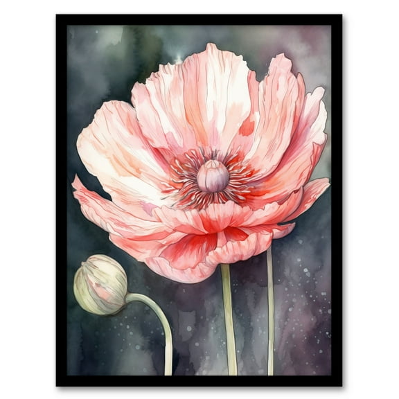 Pink Poppy Flower Pastel Watercolour Painting Spring Bud And Bloom Close-Up Nature Colourful Bright Floral Modern Artwork Art Print Framed Poster Wall Decor 12x16 inch