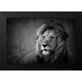 thumbnail image 2 of Alnaser, Mohammed 24x17 Black Modern Framed Museum Art Print Titled - Regal, 2 of 5