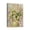 Pâquerette Blanche Fleur-47, variante sur Ajoutez une Élégance Moderne avec une Décoration Murale de Salle de Bain Florale Artistique - Parfaite pour la Chambre Ou la Cuisine, Format 12x16.