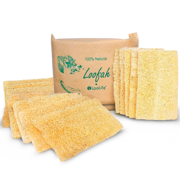 Natural Loofah Kitchen Sponge (XL - 10 Pack) - Natural Sponges for Dishes - Eco Friendly Sponges - Compostable Sponge - Biodegradable Sponges Kitchen - Natural Plant Based Kitchen Sponge