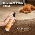 thumbnail image 4 of EBBP Stop the Spray Puppy Potty Training Spray, Indoor Dog Potty Training Spray and Pee Deterrent, 8 oz, 4 of 7