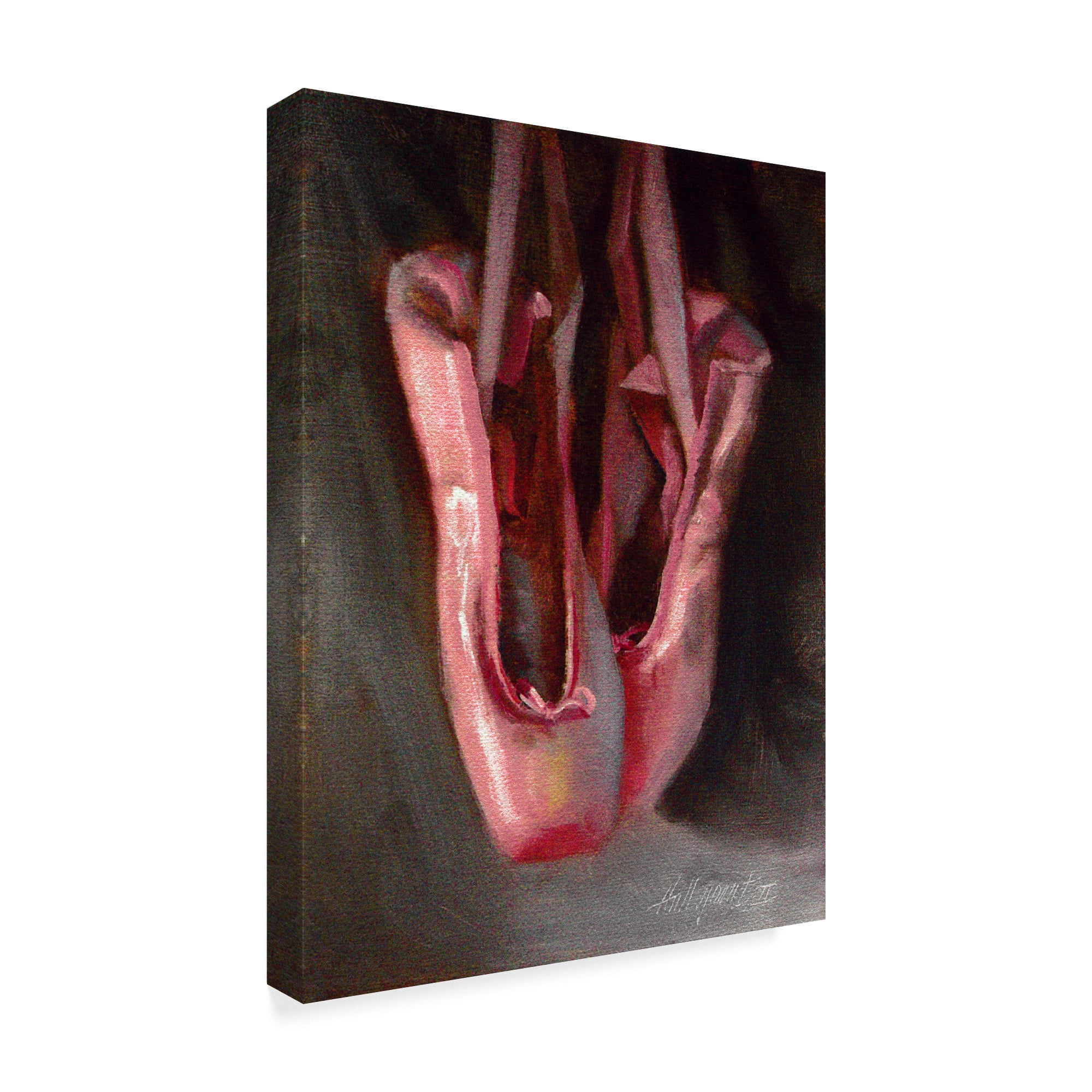 Trademark Fine Art 'Ballet Slippers 2' Canvas Art by Hall Groat Ii