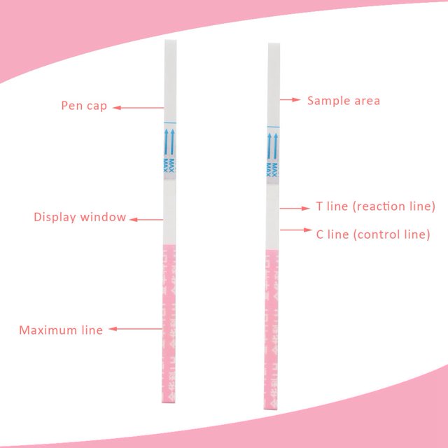 LH Detection, Early Pregnancy Detection Home Urine Test Strip Read Test