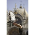 thumbnail image 2 of Kaveney, Wendy 17x24 White Modern Wood Framed Museum Art Print Titled - Italy, Venice A tourists hand feeding a pigeon, 2 of 4