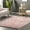 Loni Pink, variant on nuLOOM Loni SuperiorWash Solid Machine Washable Shag Area Rug, 2' x 3', Loni Cream