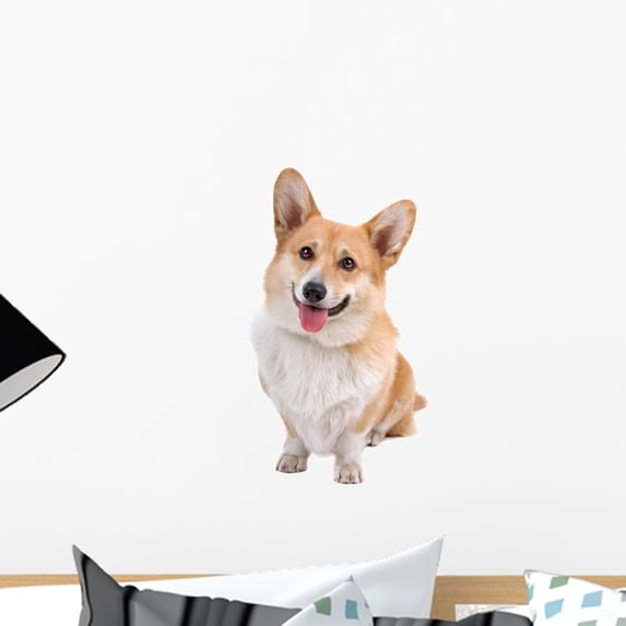 Welsh Corgi Pembroke Dog Wall Decal by Wallmonkeys Peel and Stick Graphic (18 in H x 12 in W) WM283231