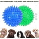 thumbnail image 4 of Pack Dog Squeaker Balls, Dog Chew Ball, Pool Float Toy, Puppy Throwing Toy, Boredom Chew Toy, 4 of 5