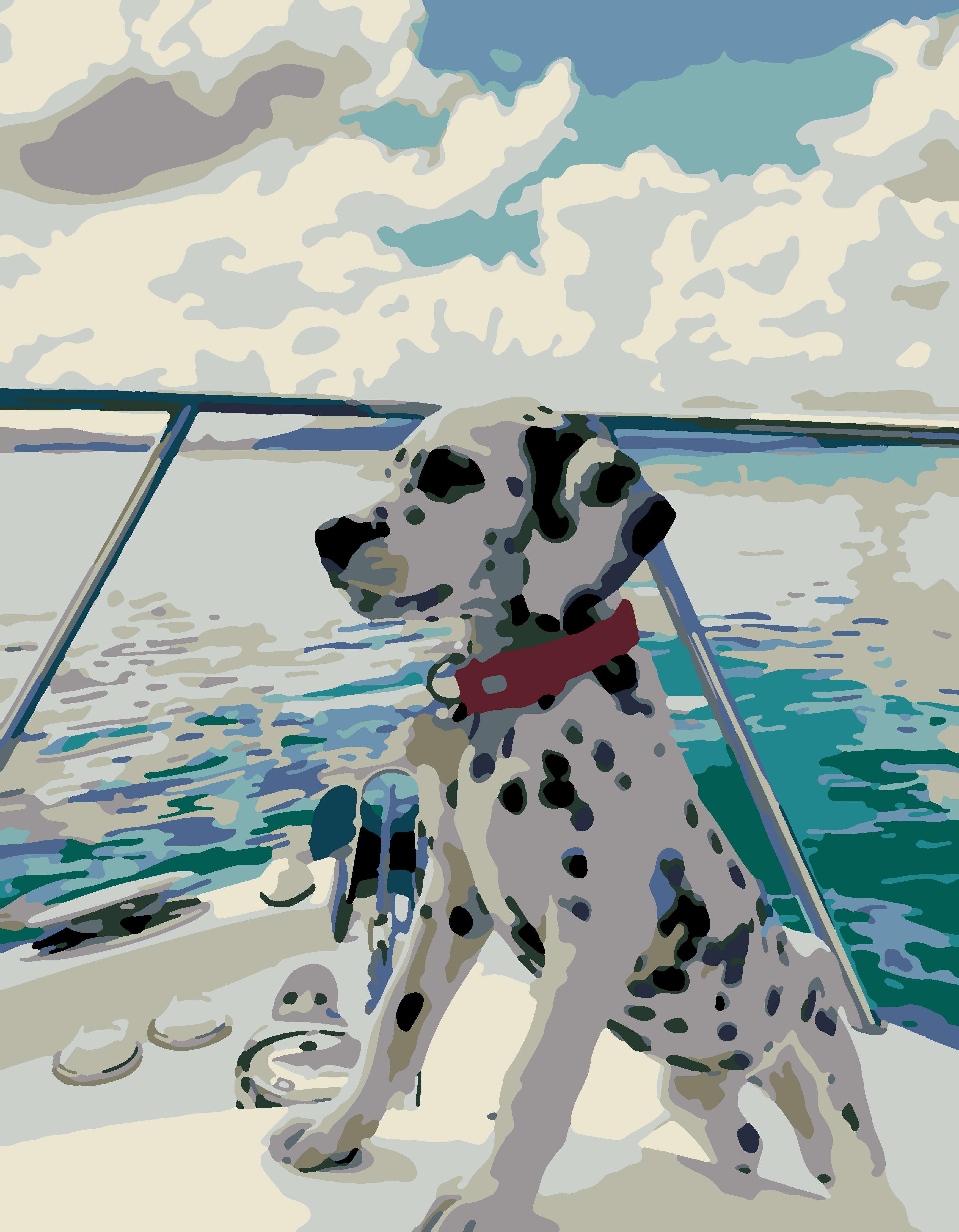 Artwille DIY Paint by Numbers for Adults and Kids, Acrylic Painting Kit