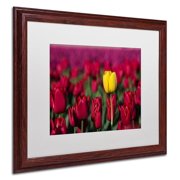 Trademark Fine Art "Yellow Tulip" Canvas Art by Pierre Leclerc, White Matte/Wood Frame