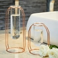 thumbnail image 5 of Geometric Test Tube Vase with Metal Frame, Transparent Glass Planter Hydroponics Decoration, 5 of 6