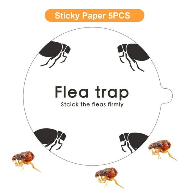 Pegatina de trampa de pulgas desechable cúpula pegajosa trampa de pulgas Likrtyny insectos Mata plagas discos de pegamento de pulgas de repuesto para el hogarcamping