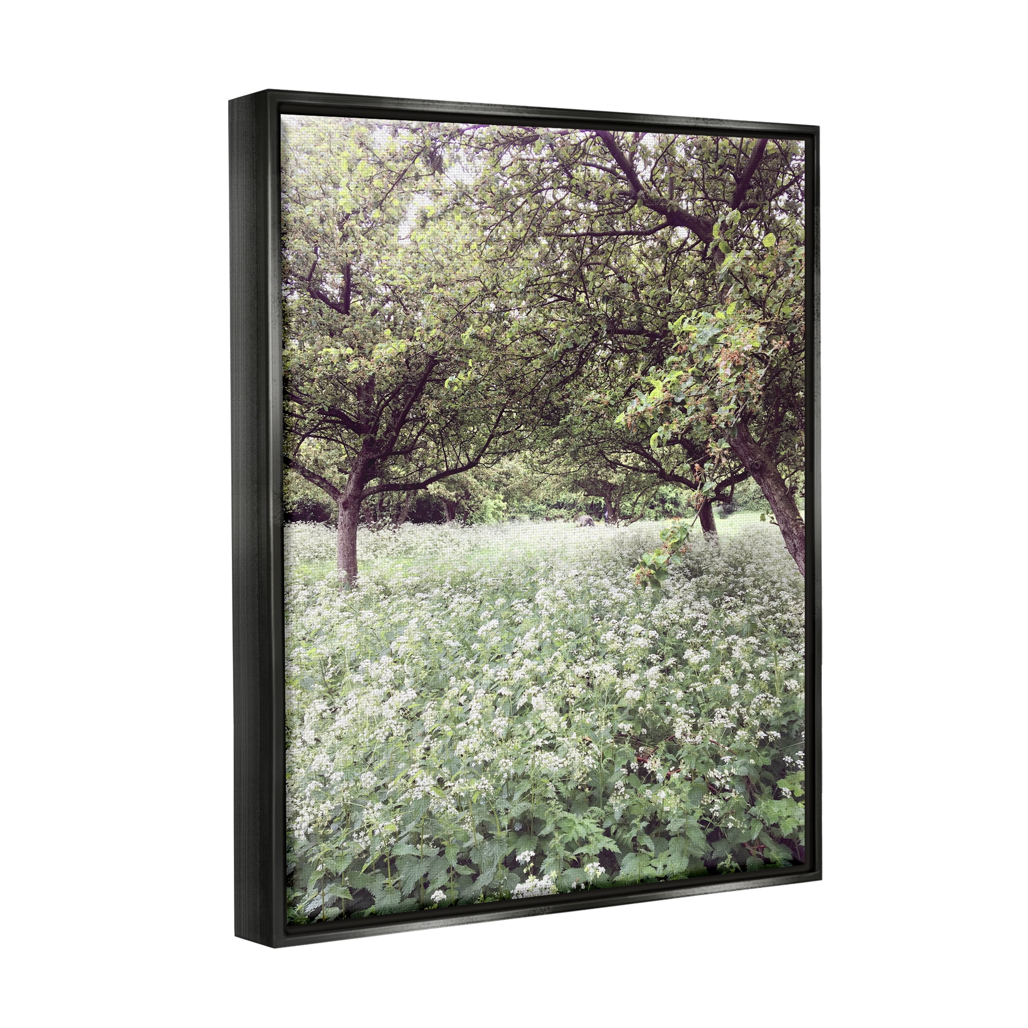 Stupell Industries Lush Meadow Trees Landscape Photography Black Floater Framed Canvas Art Print Wall Art, 17 x 21