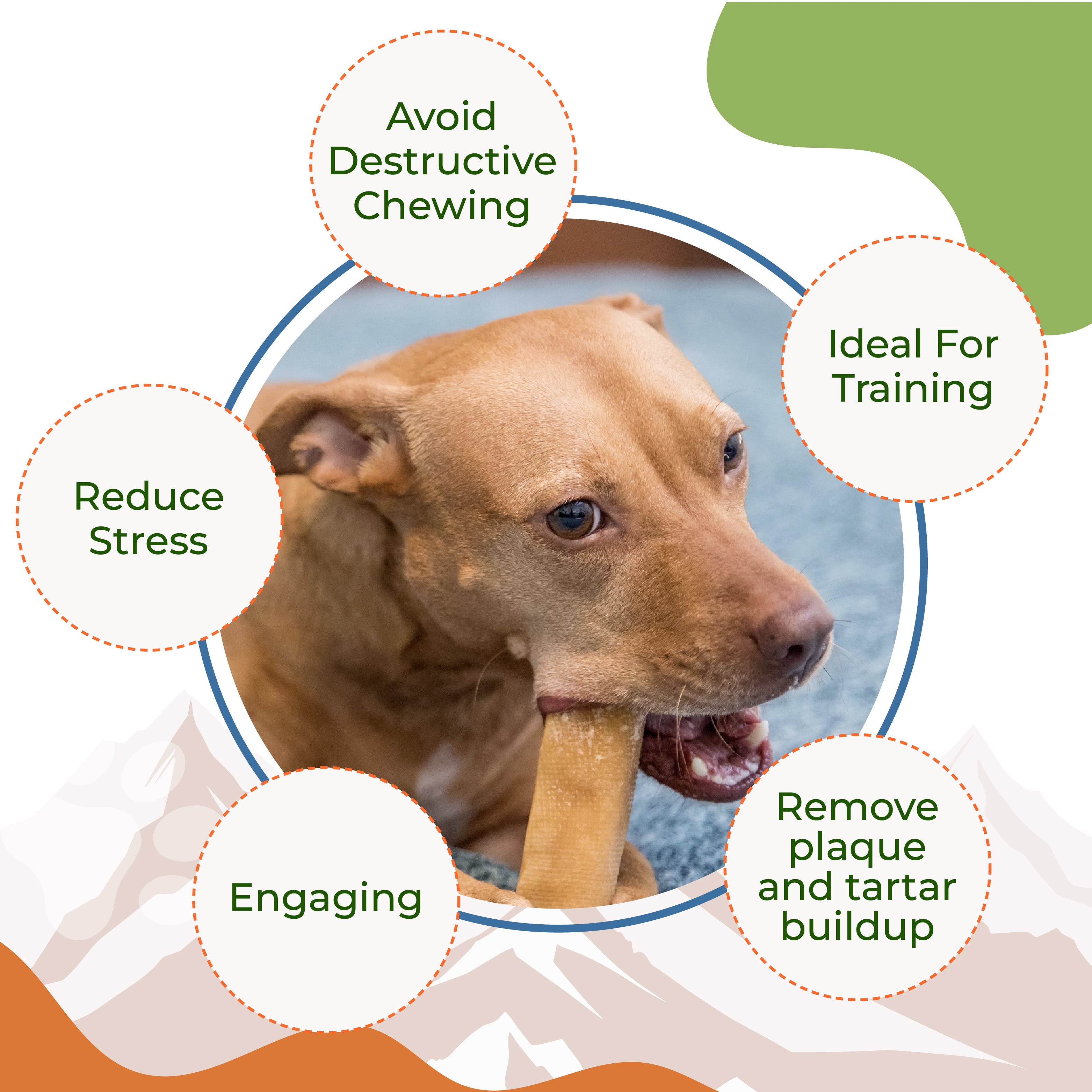 Kathmandu's-Authentic Himalayan Cheese - Natural Dog Chew, 2 XLarge Chews / Pack