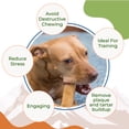 thumbnail image 4 of Kathmandu's-Authentic Himalayan Cheese - Natural Dog Chew, 2 XLarge Chews / Pack, 4 of 8