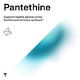 thumbnail image 4 of Suplemento de vitamina B5 pantetina de Thorne Research, 60 cápsulas, 4 of 7