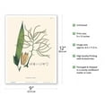 thumbnail image 2 of Geonoma Maxima - Palm Leaf - Vintage Botanical Illustration by Carl Friedrich Philipp von Martius c.1820s - Master Art Print (Unframed) 9in x 12in, 2 of 4