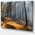 thumbnail image 2 of Feu en Forêt avec Flamme et Fumée - Art Moderne sur Toile, 2 of 4