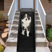 Demi Bonn 60" Nonslip Plastic Pet Ramp, Folding Portable Cat & Dog Ramp Perfect for Bed and Car, Trucks and SUVs, Black
