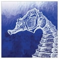 thumbnail image 1 of BN 12/24CT 3P Hippocampe Marin, 1 of 1